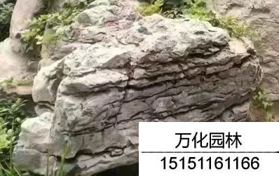 龟纹石